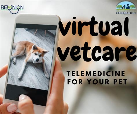 New bill allows virtual vet appointments