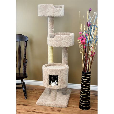 New Cat Condos Cat perch for Large Cats is a perfect choice if you are looking for a compact, sturdy, stable, and spacious cat perch for your large cats or multiple cats to play, climb, sleep, scratch, and relax the day away. This cat perch features easy-to-access and large spacious places to lay that are also surrounded by an edge to keep them ....