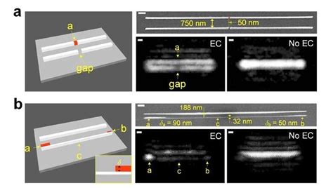 New discovery advances optical microscopy - Phys.org