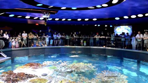 New england aquarium boston. Price & Hours. $34 for adults; $25 for kids 3-11; free for kids 2 and younger. Mon-Fri 9 a.m.-5 p.m. | Sat-Sun 9 a.m.-6 p.m. Details. Zoos and Aquariums Type. 2 hours to Half Day … 