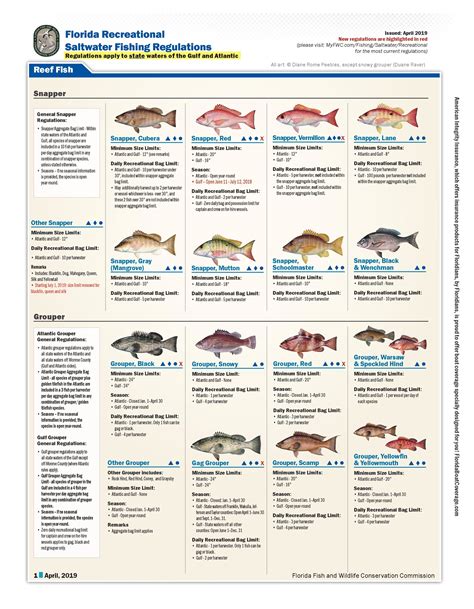 New florida saltwater fishing regulations. .  <a href=https://art-volzh...