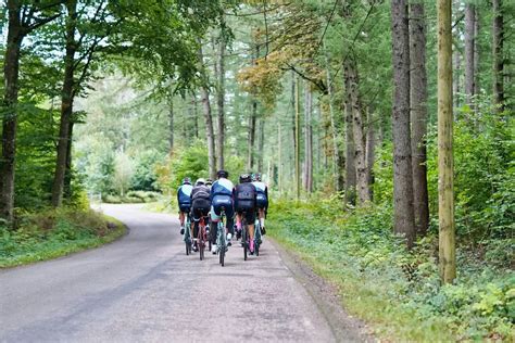 New forest cycling guide rides in the heart of the national park cycling guides. - Guida al dv di frost dk.