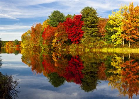 New hampshire fall. New Hampshire has a variety of trees that turn vibrant colors as the cool, crisp fall air moves in. Maples and red oak turn red, birch and elms turn gold … 