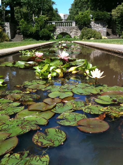 New jersey botanical garden. Things To Know About New jersey botanical garden. 