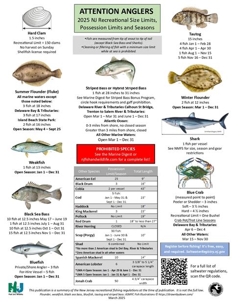 New jersey saltwater fishing regulations. .  ...
