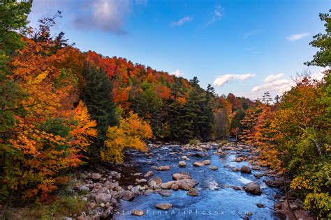 New leaf fall river. New Leaf (Fall River) (16) 4.9 (508) 676-5323. 2629 S Main St, Fall River, MA 02724, USA ... 