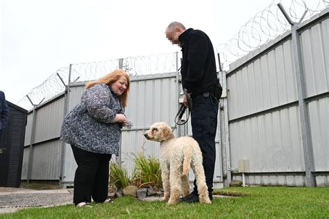 New legislation would prevent Va. prisons from using dogs to control inmates
