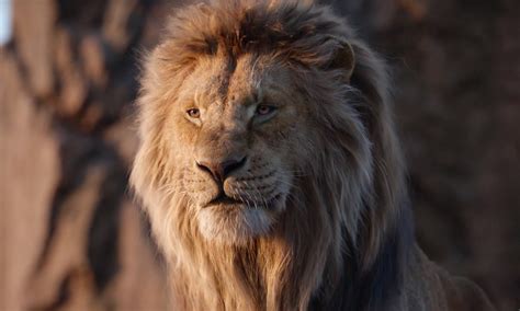 New lion king. The Lion King 2019 cast saw a mostly new group of actors bring these beloved animal characters back to the big screen in the retelling of the Disney classic.The Lion King is one of Disney's most ... 