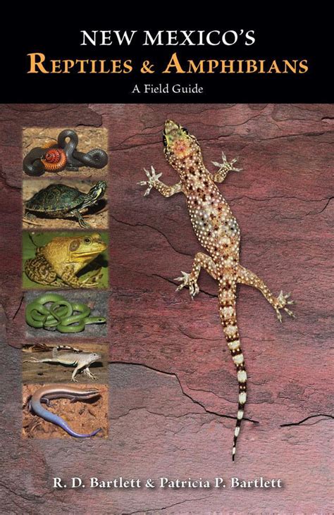 New mexicos reptiles and amphibians a field guide. - I d rather be in the studio the artist s no excuse guide to self promotion.