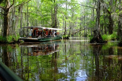 New orleans bayou tour. 