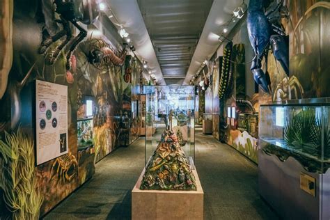 New orleans insectarium. In the daytime, the Audubon Aquarium of the Americas and the Audubon Butterfly Garden and Insectarium are where the action is for families. Canal Place is the ... 