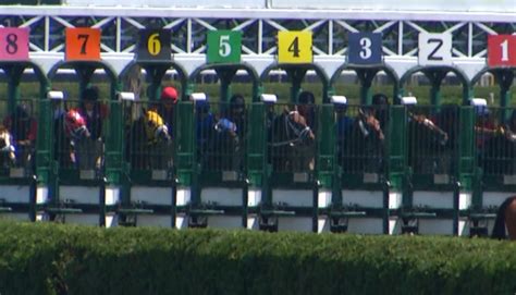 New racing rules to be implemented to mitigate injuries, fatalities at Saratoga track