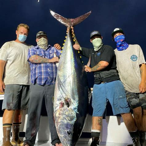 New seaforth fish counts. Latest individual boat fish counts for San DiegoOvernight Trips , updated daily, including Bluefin, Yellowtail, Yellowfin, Wahoo, Dorado, and more! Home; Fish Reports. Sponsored Counts; Boat Fish Counts ... Seaforth Sportfishing San Diego, CA 12 Anglers Overnight: 6 Yellowtail, 20 Calico Bass, 50 Rockfish: Voyager Seaforth Sportfishing San ... 
