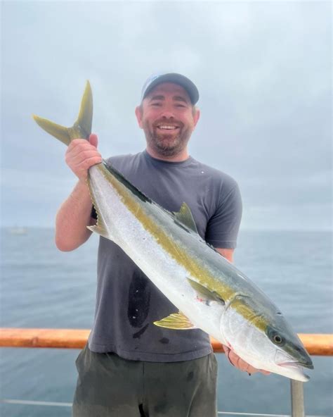 The local Yellowtail bite is on! The New Seaforth landed 5 on their morning Half Day and they 15 on the boat with 4 more hanging this afternoon! They.... 