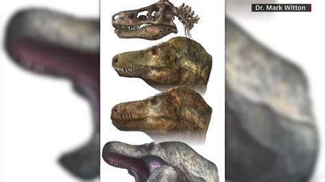 New study finds T-rex may have had lips covering teeth