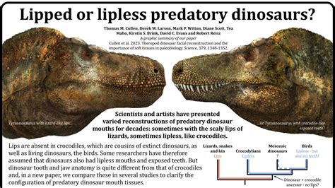 New study shows T. rex may have had thick, scaly lips