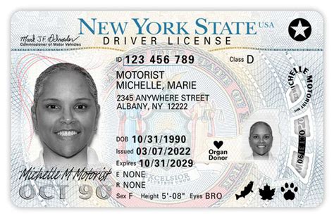 New york state license verification. Things To Know About New york state license verification. 