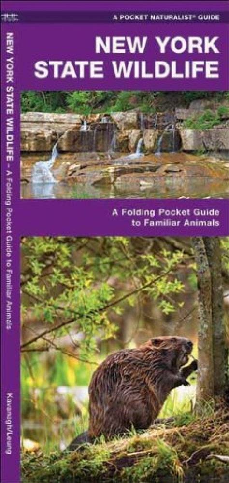 New york state wildlife a folding pocket guide to familiar. - The lost heir the fall of daria guide.