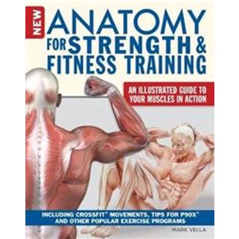Read Online New Anatomy For Strength  Fitness Training An Illustrated Guide To Your Muscles In Action Including Exercises Used In Crossfitr P90Xr And Other Popular Fitness Programs By Mark Vella