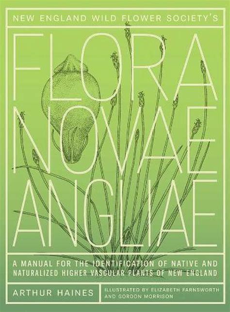 Download New England Wild Flower Societys Flora Novae Angliae A Manual For The Identification Of Native And Naturalized Higher Vascular Plants Of New England By Arthur Haines