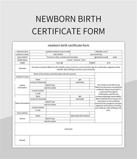 Newborn Birth Certificate Form Excel Template And Google Sheets File