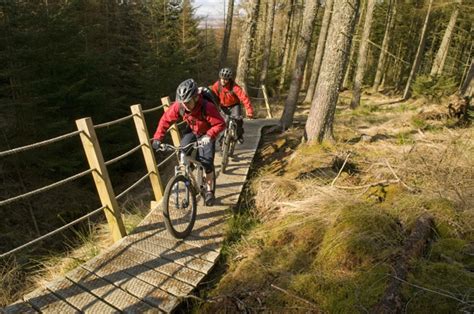 Newcastleton 7stanes, Newcastleton – Mountain biking VisitScotland