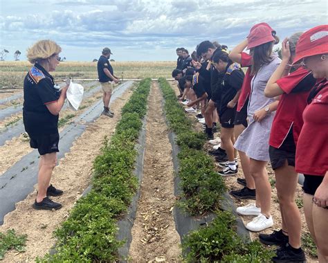 Newchurch Horicultural Farm Excursion – Central Yorke School