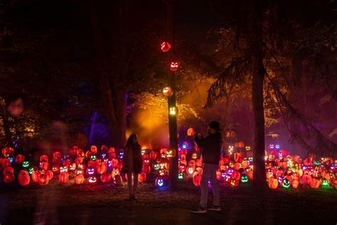 Newfields Harvest Nights | Spooky Halloween Light 