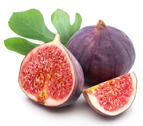 Newfig stock. Things To Know About Newfig stock. 