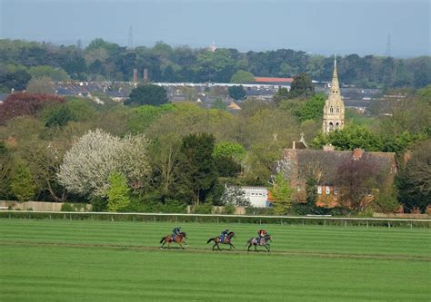 Newmarket Heath - Newmarket