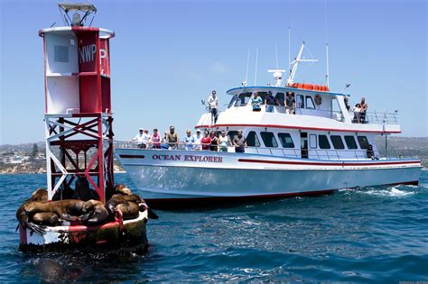 Newport beach landing whale watching. FOR RESERVATIONS, CALL (949) 675-0551. Whale watching off Laguna Beach daily year round. View giant blue whales, humpback whales, and more. Giant marine park off Laguna Beach provides amazing whale watching year round. 