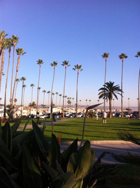 Newport palms. Things To Know About Newport palms. 