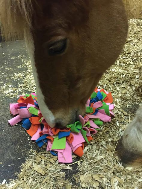 News - Can Your Horses & Cows Share a Barn?