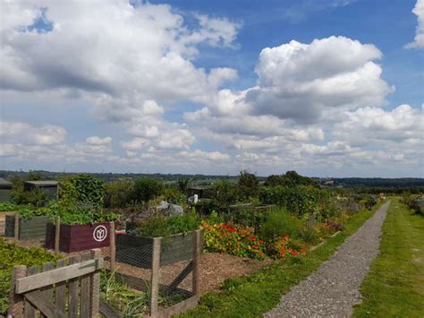 News - Frodsham Townfield Allotments