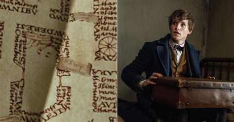 Newt Scamander Is In Harry Potter and the Prisoner of Azkaban