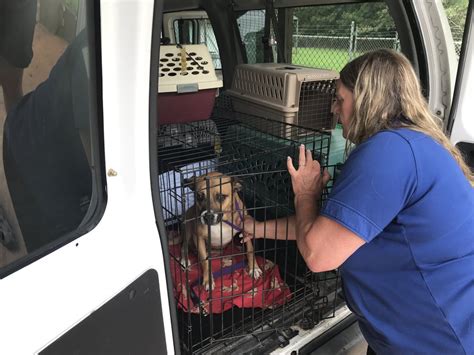 Dec 9, 2020 · — Newton County Animal Services officially opene