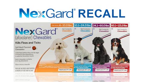 NexGard Coupons April 2024: 15% OFF NexGard Coupon Codes