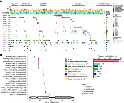 Next generation sequencing for biliary tract cancers