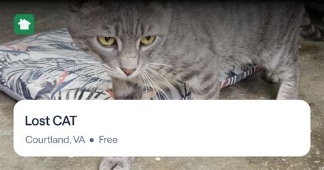Nextdoor lost cat. .  This type of sharing has proven effective in creating ...