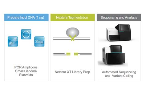Nextera xt indexes.  .  Completing the Nextera XT DNA protocol requires the li...