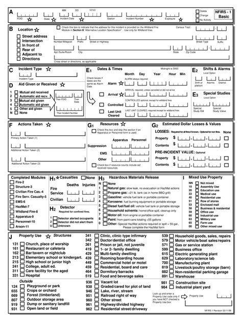 Nfirs 1 Basic Form Fill Out and Sign Printable PDF Template signNow