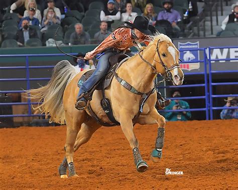 Nfr barrel racers. December 13, 2023. ⎯ Casey Allen. Emily Beisel and Liza win Round 6 NFR. Ric Andersen/CBarC Photo. Emily Beisel and the superstar mare, Ivory On Fire, “Liza,” notched the $30,706.41 victory in the Wednesday matinee performance of the 2023 NFR and Round 6. Since Emily Beisel climbed aboard Liza in Round 2 and jockeyed her through the next ... 