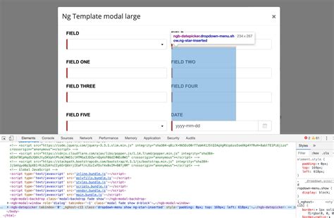 Ngbdatepicker angular 6 format