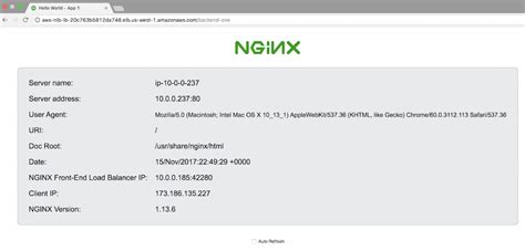 Nginx plus demo. nginx The instructions in this guide explain how to set up...