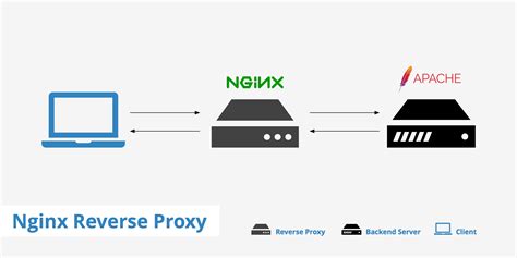 Nginx subdomain reverse proxy. com for multi-tenant routing &mdash; complete with wildcard...