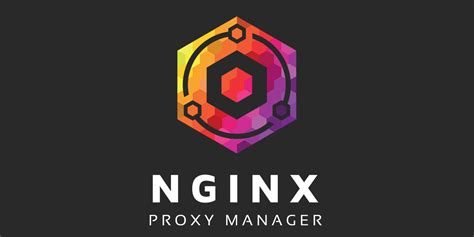 Nginxproxymanager. Final Steps. Head back into nginx proxy manager, login and head to hosts < proxy hosts < add proxy host. Add your domain name, the ip of your server and the port we set up earlier. You’d do the ... 