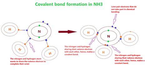 Nh3 bond type.  Nitrogen shares three electrons with three hydrogen atoms.  Unfortunately, t...