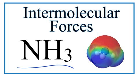 Nh3 intermolecular forces. The strength or weakness of intermolecular forces determines the state of matter of a substance (e.g., solid, liquid, gas) and some of the chemical properties (e.g., melting point, structure). There are three major types of intermolecular forces: London dispersion force, dipole-dipole interaction, and ion-dipole interaction. 