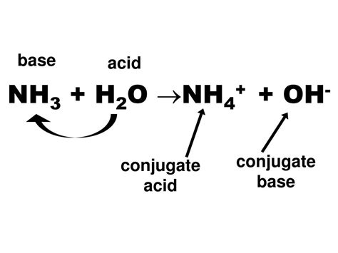 Nh4 conjugate base