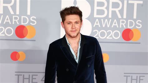 Niall Horan, formerly of One Direction and currently a coach on ‘The Voice,’ to play X in July 2024